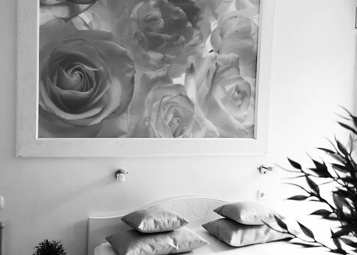 Bonaca 马卡尔斯卡